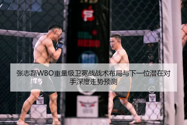 张志磊WBO重量级卫冕战战术布局与下一位潜在对手深度走势预测