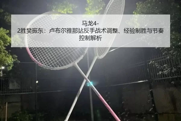 马龙4-2胜樊振东：卢布尔雅那站反手战术调整、经验制胜与节奏控制解析