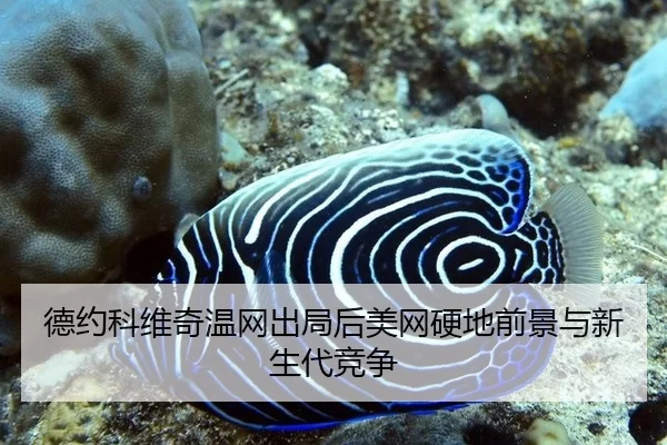 de-yue-ke-wei-qi-wen-wang-chu-ju-hou-mei-wang-ying-di-qian-jing-yu-xin-sheng-dai-jing-zheng-3-918.jpg